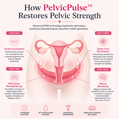 PelvicPulse